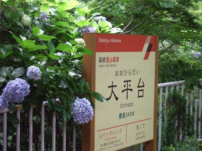 スイッチバック.jpg