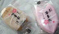 sakura3.jpg