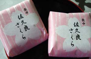 sakura8.jpg